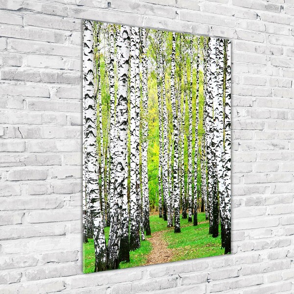 Quadro di vetro verticale Foresta di betulle