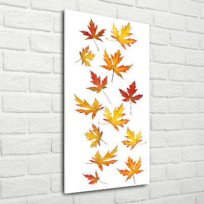 Quadro di vetro verticale Foglie autunnali