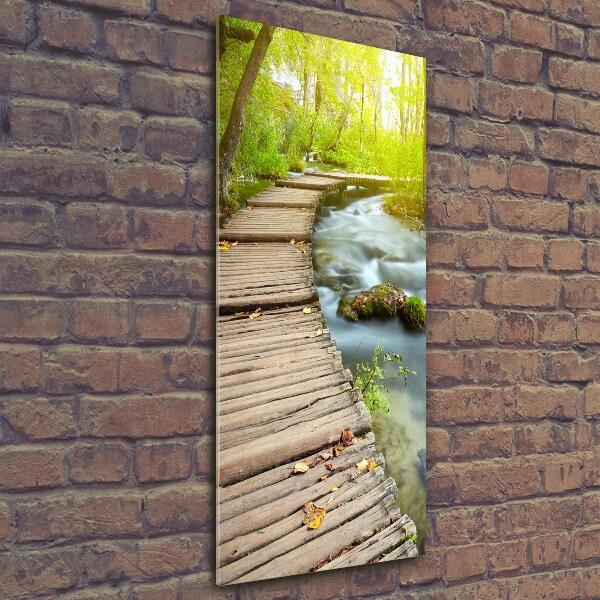 Quadro stampa su vetro verticale Sentiero nella foresta