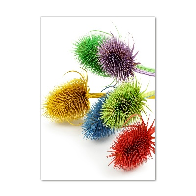 Quadro stampa su vetro verticale Cardo