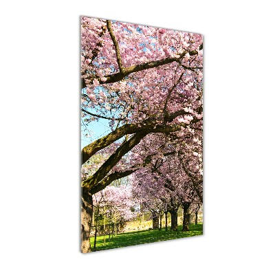 Quadro stampa su vetro verticale Alberi di ciliegio