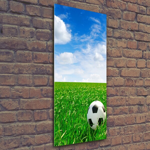 Quadro di vetro verticale Calcio nel prato