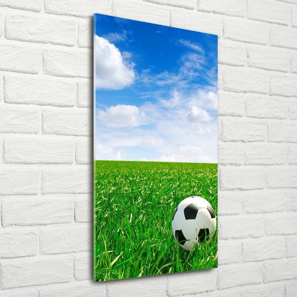 Quadro di vetro verticale Calcio nel prato