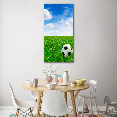 Quadro di vetro verticale Calcio nel prato