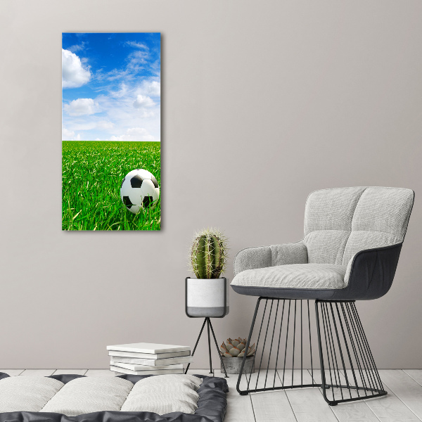 Quadro di vetro verticale Calcio nel prato