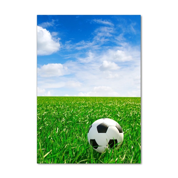 Quadro di vetro verticale Calcio nel prato