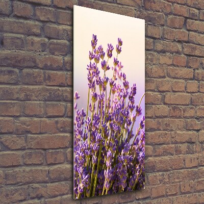Quadro stampa su vetro verticale Lavanda