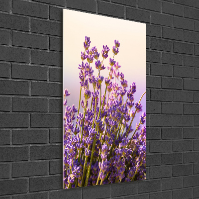 Quadro stampa su vetro verticale Lavanda