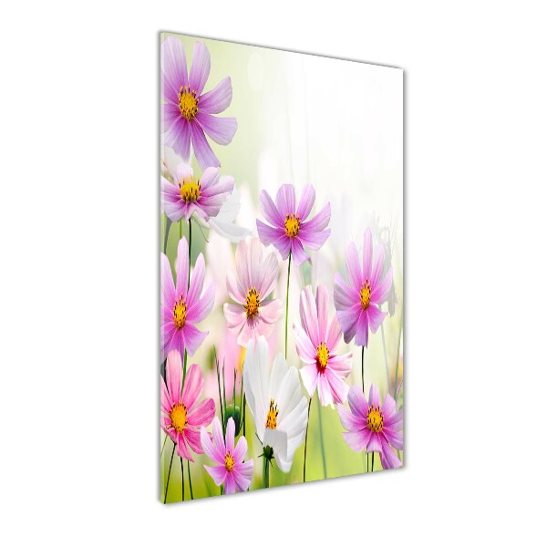 Quadro vetro verticale Fiori selvatici