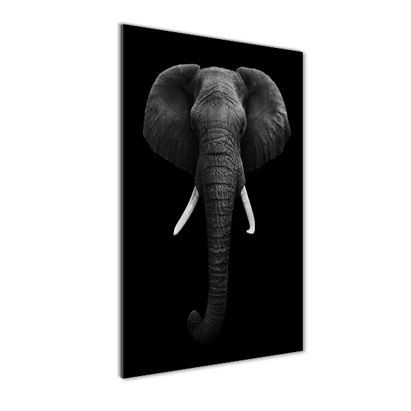Quadro in vetro verticale Elefante africano