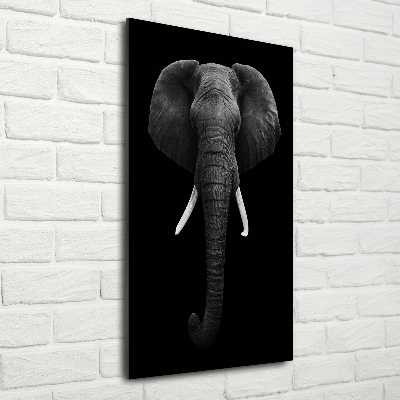 Quadro in vetro verticale Elefante africano