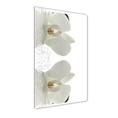 Quadro in vetro verticale Orchidea e pietre