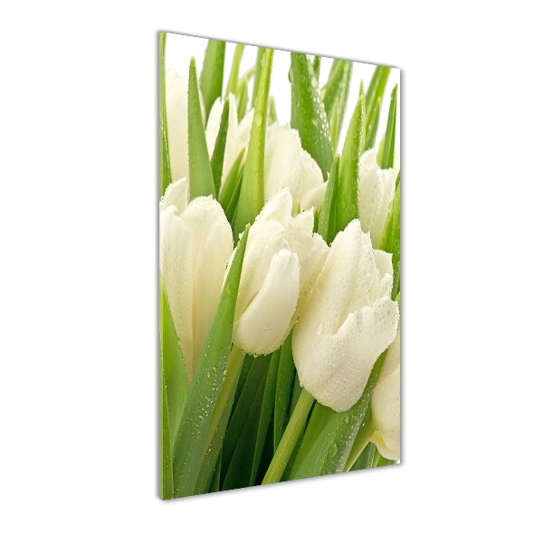 Quadro di vetro verticale Tulipani bianchi