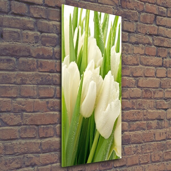 Quadro di vetro verticale Tulipani bianchi