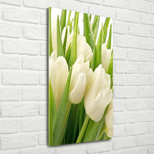 Quadro di vetro verticale Tulipani bianchi