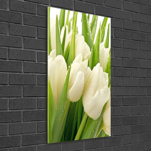 Quadro di vetro verticale Tulipani bianchi