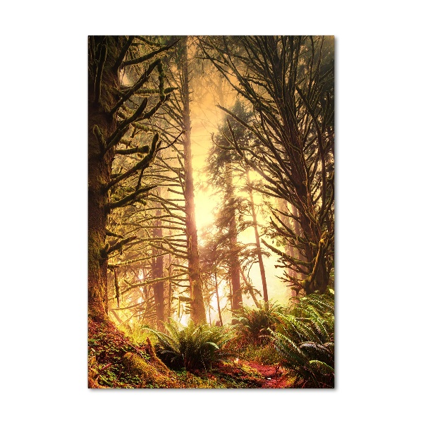 Quadro in vetro verticale Foresta pluviale