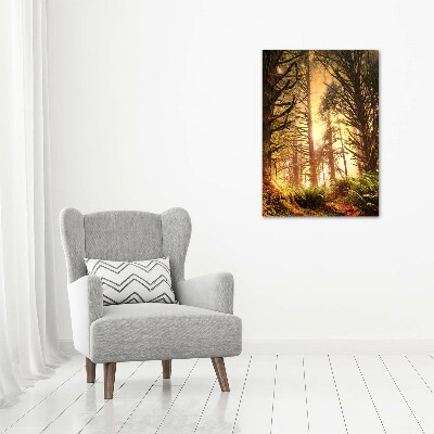 Quadro in vetro verticale Foresta pluviale