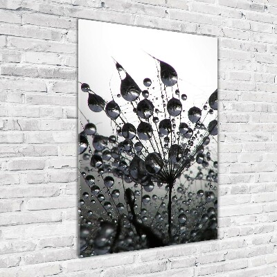 Quadro in vetro verticale Semi di tarassaco