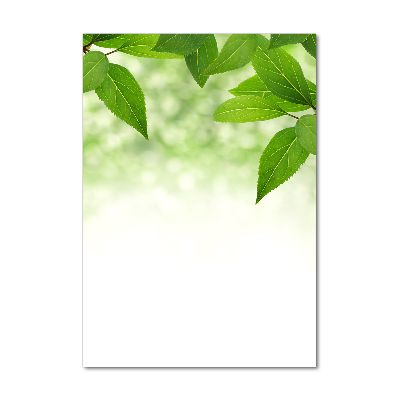 Quadro di vetro verticale Foglie verdi