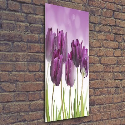 Quadro stampa su vetro verticale Tulipani viola