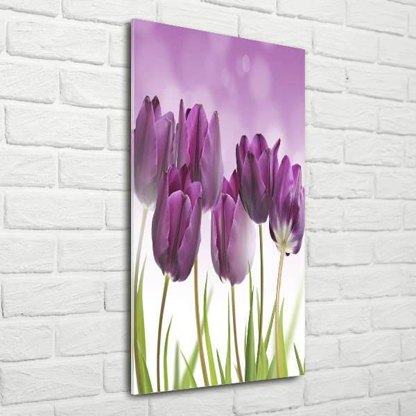 Quadro stampa su vetro verticale Tulipani viola