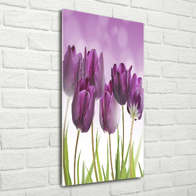 Quadro stampa su vetro verticale Tulipani viola
