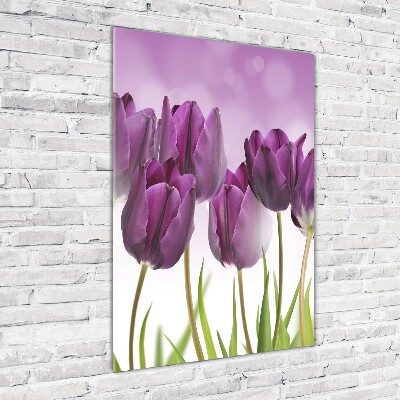 Quadro stampa su vetro verticale Tulipani viola