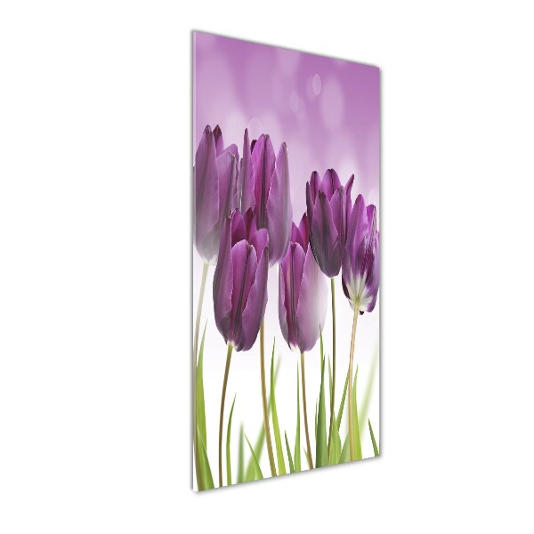 Quadro stampa su vetro verticale Tulipani viola