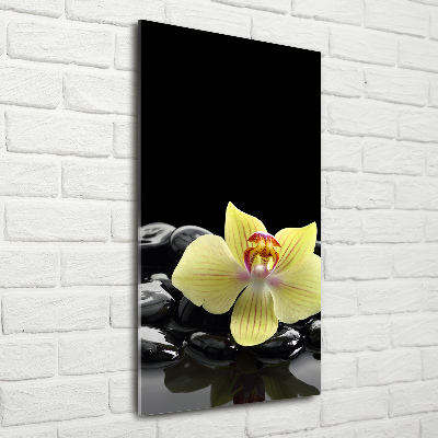 Quadro in vetro verticale Orchidea e pietre