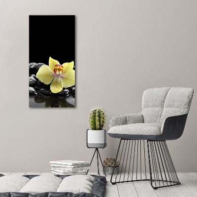 Quadro in vetro verticale Orchidea e pietre