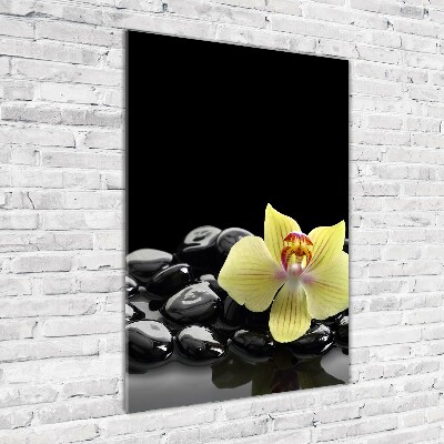 Quadro in vetro verticale Orchidea e pietre