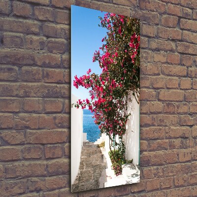 Quadro di vetro verticale Strade greche