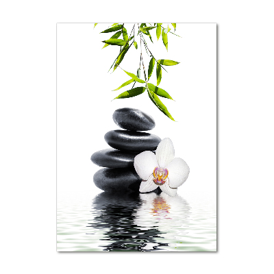 Quadro stampa su vetro verticale Orchidea e pietre