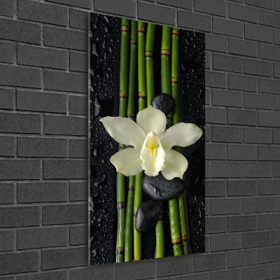 Quadro in vetro verticale Orchidea e bambù