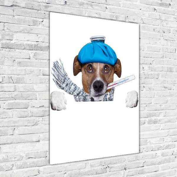 Quadro stampa su vetro verticale Cane malato