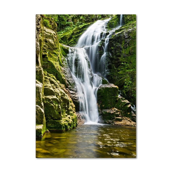 Quadro stampa su vetro verticale Cascata