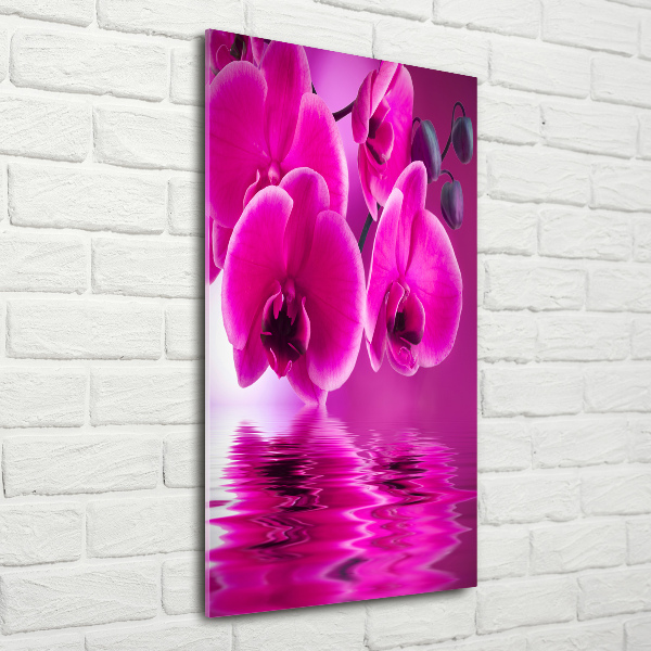 Quadro di vetro verticale Orchidea rosa