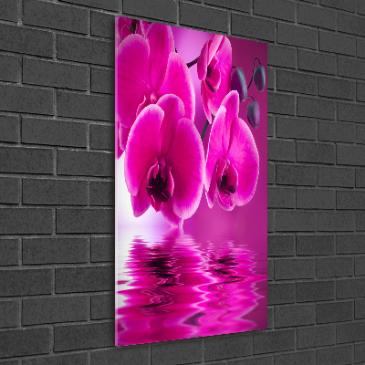 Quadro di vetro verticale Orchidea rosa