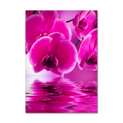 Quadro di vetro verticale Orchidea rosa