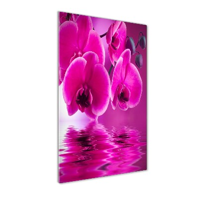 Quadro di vetro verticale Orchidea rosa