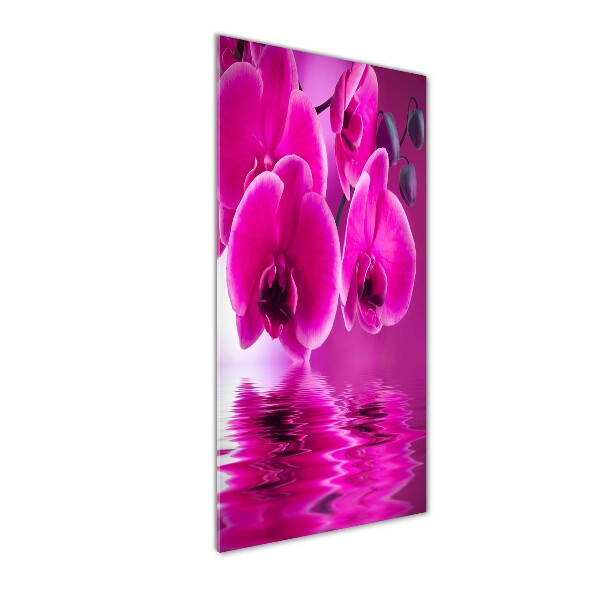 Quadro di vetro verticale Orchidea rosa