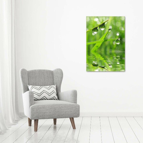 Quadro di vetro verticale Fili d'erba