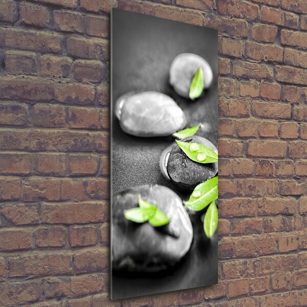 Quadro stampa su vetro verticale Foglie pietre zen