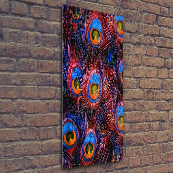 Quadro in vetro verticale Piume di pavone