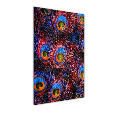 Quadro in vetro verticale Piume di pavone
