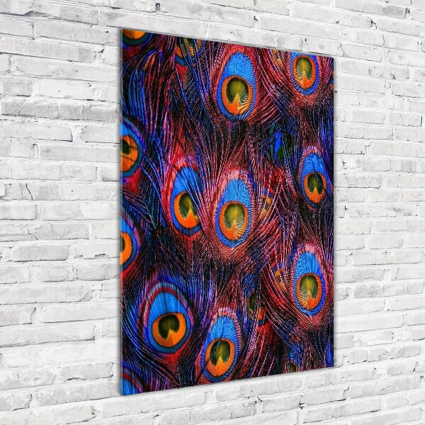 Quadro in vetro verticale Piume di pavone