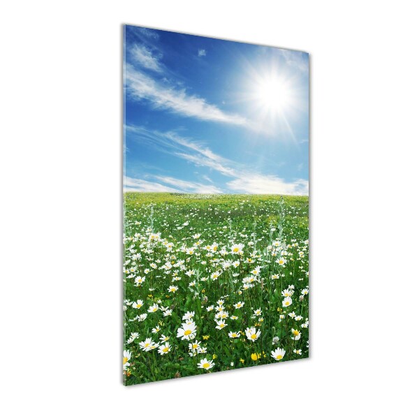 Quadro stampa su vetro verticale Prato