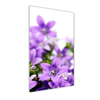 Quadro di vetro verticale Campanelle viola