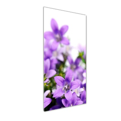 Quadro di vetro verticale Campanelle viola